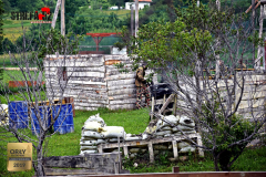 2020.06.20_Paintball_25